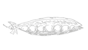 contact & inscription newsletters