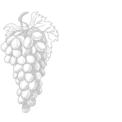 Nos marques : VINS BIO, LA SÉLECTION